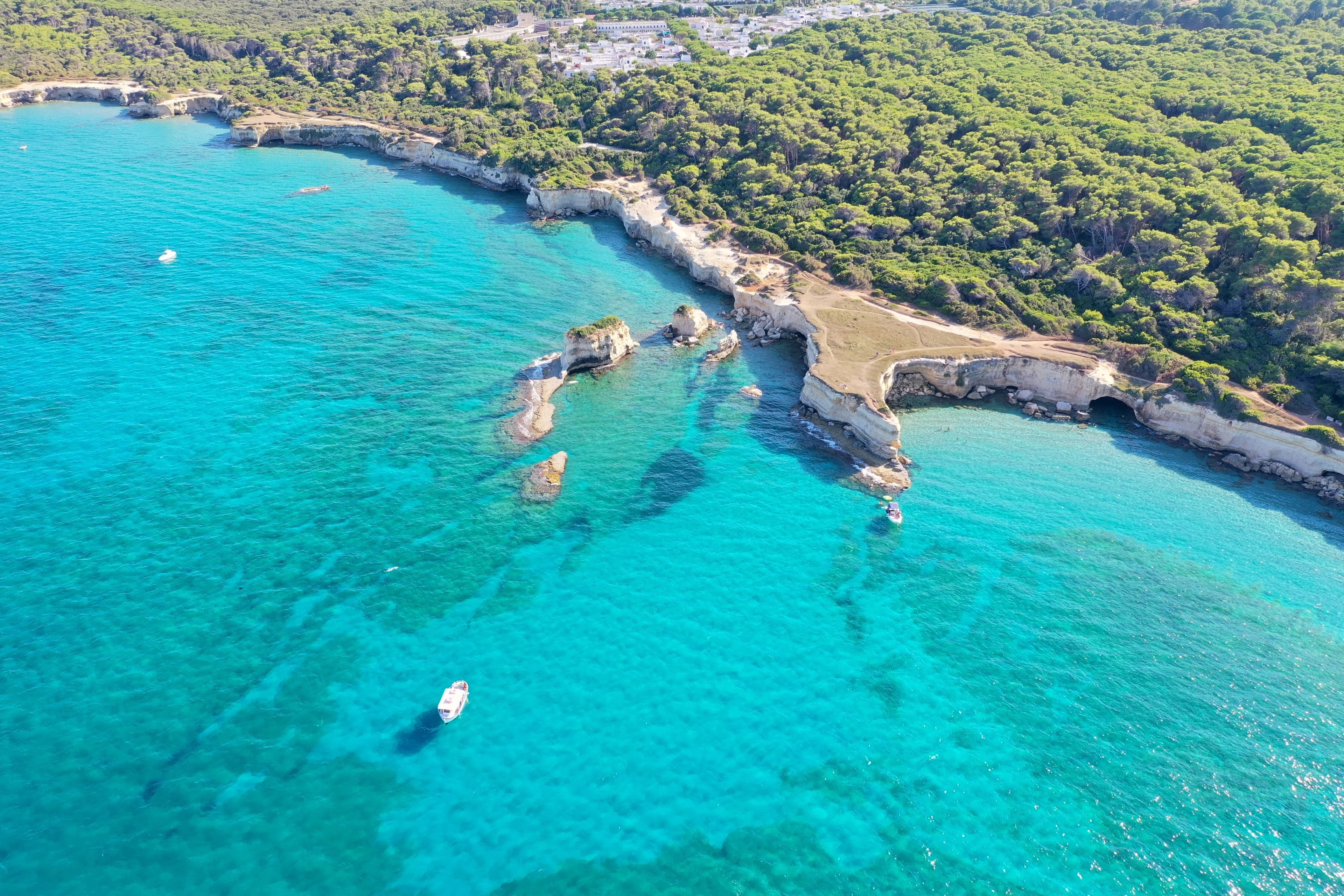 Vigneti e ulivi del Salento